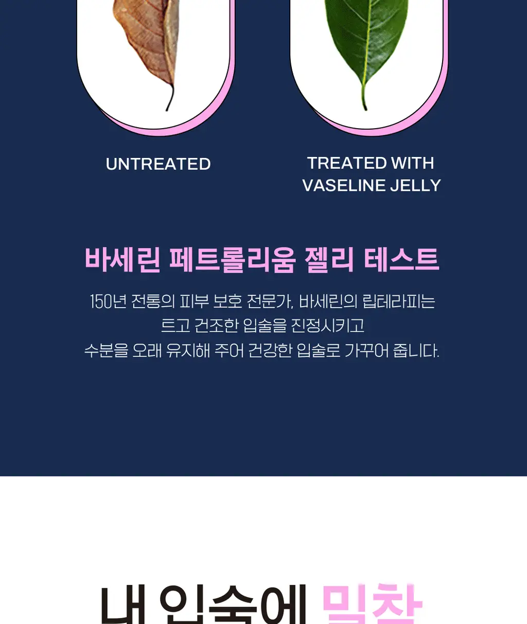 [NEW] 바세린 립테라피 미니자 립밤 7g 2종 상세페이지 9